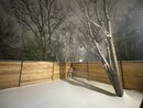Massive Texas Winter Storm (1170955)