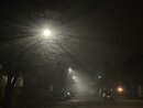Foggy Night in the Neighborhood (1170999)