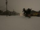 Massive Texas Winter Storm (1171272)