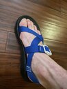 Custom Atticus Chacos (1171566)