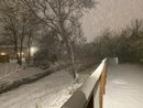 Massive Texas Winter Storm (1171535)