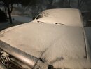 Massive Texas Winter Storm (1171433)