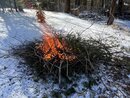 Burning off the Giant Brush Piles (1200822)