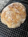 Learning to Make Sourdough Bread (1201015)
