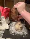 Learning to Make Sourdough Bread (1201048)
