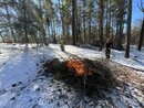 Burning off the Giant Brush Piles (1200969)
