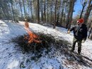Burning off the Giant Brush Piles (1201040)