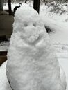 Giant Snowstorm in Asheville (1201122)