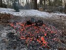 Burning off the Giant Brush Piles (1201141)