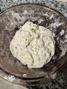 Learning to Make Sourdough Bread (1201111)