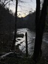 Laurel River Hike (1201327)