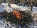 Burning off the Giant Brush Piles (1201681)