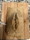 Learning to Make Sourdough Bread (1201548)