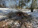 Burning off the Giant Brush Piles (1201449)