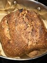 Learning to Make Sourdough Bread (1201543)