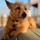 Atti Photoshoot in Bolivar (1211104)