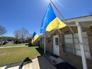 My New Ukrainian Flags  (1209984)