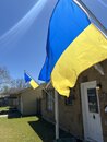 My New Ukrainian Flags  (1209898)