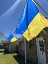 My New Ukrainian Flags 